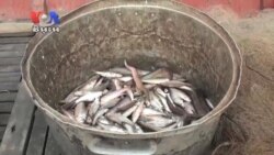 ការ​ហាមឃាត់​ឧបករណ៏​នេសាទ​ខ្លះ​ប៉ះពាល់​ដល់​ជីវភាព​ប្រជា​សហគមន៍​នេសាទ​ក្រីក្រ