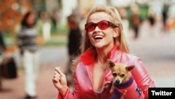 legally blonde poster