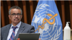 Tedros Adhanom Ghebreyesus. (Foto: dok).