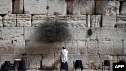 FILE - A Jewish man prays at the Western Wall, Judaism's most holy site, in Jerusalem's Old City. Israel objects to a UNESCO draft resolution it says ignores the religion's historic ties to such sites.