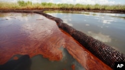 In this June 26, 2010 file photo, oil from the Deepwater Horizon oil spill floats on the surface of the water in Bay Jimmy in the southern U.S. state of Louisiana. (AP Photo/Gerald Herbert)