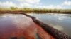 Microbes Could Help Clean Up Oil Spills 