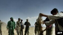 İranın Qərbi Azərbaycan vilayətində narkotik qaçaqmalçıları şəbəkəsi aşkarlanıb