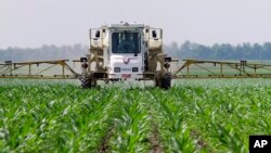 FILE - In this June 1, 2010 photo, central Illinois corn farmer Jerry McCulley sprays the weed killer glyphosate across his cornfield in Auburn, Ill. 