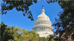 The dome of the U.S. Capitol Building is seen on a bright day in Washington, U.S., Oct. 23, 2019. (Photo: Diaa Bekheet)