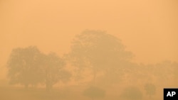 A field is shrouded with smoke haze near Burragate, Australia, Jan. 11, 2020. 