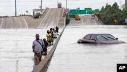 Para pengungsi mengarungi banjir akibat badai harvey yang menggenangi badan jalan raya Insterstate 610.(AP Photo/David J. Phillip)