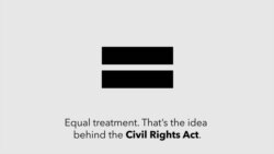 What Is Title VII of the Civil Rights Act?
