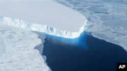 This undated handout photo provided by NASA shows the Thwaites Glacier in West Antarctic. Two new studies indicate that part of the huge West Antarctic ice sheet is starting a slow collapse in an unstoppable way. Alarmed scientists say that means even more sea level rise than they figured. (AP Photo/NASA)