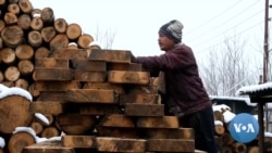 Kashmir’s Pencil Village Generates Two-Thirds of Wood Needed for Pencils in India