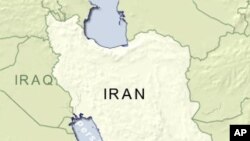 Iran Government Supporters Rally Against Opposition