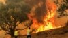 North Africa Fires Spread to Libya and Tunisia 