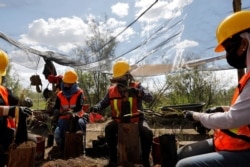 Workers prepare native plants at the garden center near the canceled airport zone as part of a project to conserve 12,200 hectares of land in Texcoco on the outskirts of Mexico City, Mexico, Sept. 3, 2020.