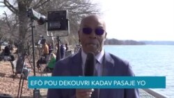 67 Moun Mouri nan Kolizyon Avyon nan Washington