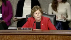 სენატორი ჯინ შაჰინი