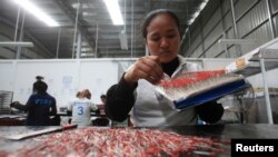 រូបឯកសារ៖ ស្រ្តី​ម្នាក់​ធ្វើ​ការ​នៅ​រោងចក្រ​មួយ ដែល​មាន​ម្ចាស់​ជនជាតិ​ជប៉ុន ក្នុង​តំបន់​សេដ្ឋកិច្ច​ពិសេស នៅ​ជាយ​ក្រុង​ភ្នំពេញ​ កាល​ពី​ថ្ងៃ​ទី១៧ ខែ​ធ្នូ ឆ្នាំ​២០១៤។ 