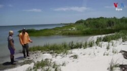 ការជួយ​ធម្មជាតិ​ស្តារ​សមត្ថភាព​ឡើងវិញ​ដើម្បី​ទប់ទល់​នឹង​ការប្រែប្រួល​អាកាសធាតុ