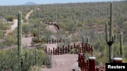 FILE - The vehicle barrier on the U.S.-Mexico border weaves around Saguaro cactus in the Sonoran desert on the Tohono O'odham reservation in Chukut Kuk, Arizona, April 6, 2017.