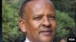 ፕሮፌሰር አታላይ አየለ 