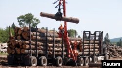 Seorang pekerja sedang membongkar kayu gelondongan di Murray Brothers Lumber Company di Madawaska, Ontario, Kanada, 4 Juli 2018. (Foto: Reuters)