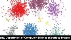 Princeton University researchers identified 2,500 genes that may contribute to autism. The genes possibly connected to autism are gathered into colored groups based on how they function and relate to each other in the brain. (Image courtesy of Olga Troyanskaya, Dept. of Computer Science)