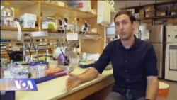 ქართველი მეცნიერი აშშ-ში კიბოს დამარცხების გზებს ეძებს