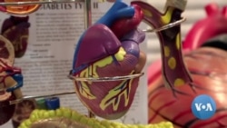 - የልብ ጤና ጉዳይ
በዩናይትድ ስቴትስ ቁጥር አንድ ገዳዩ የልብ ደም ስሮች በሽታ
