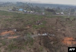 In less than two months, more than 200 hectares (500 acres) of forest have been razed to stumps in this corner of the Virunga National Park, where tens of thousands of Congolese have fled from clashes between rebels and the military. (Displaced people carry charcoal from the forest to the market for sale at the foot of the Nyiragongo volcano in Virunga National Park, Jan. 14, 2023.)