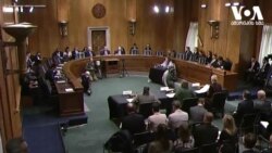 "მამაცი უკრაინელები აჩვენებენ, რამდენად სუსტია პუტინის არმია"