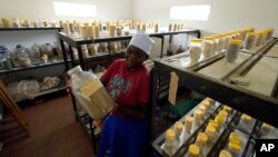 A woman holds a bottle filled with millet seeds stored in a seed bank in Zimbabwe's Rushinga district, Jan. 19, 2023.