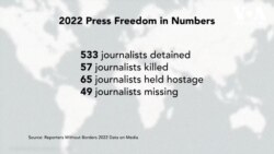 მედია 2022 წელს 