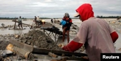 Penduduk desa memisahkan emas dari endapan lumpur, dari limbah tailing operasi penambangan Emas dan Tembaga Freeport AS, di Timika, provinsi Papua, Indonesia, 21 Juli 2008. (REUTERS/Yan Rafsanjani)