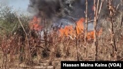 Sojojin Najeriya Na Fatattakar Yan Boko Haram