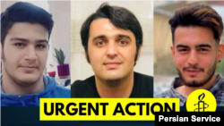 مهدی محمدی‌فرد (راست)، جواد روحی و عرشیا تک‌دستان.
