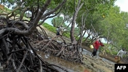 Des pêcheurs revenant d'une expédition de pêche près d'une mangrove à Gazi près de la ville côtière de Mombasa au Kenya le 19 mai 2007. (Photo AFP TONY KARUMBA)