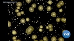 Study: Less Than Half of Human Body Is Human