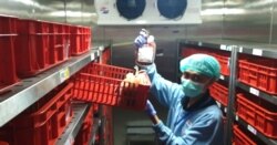 Kondisi tempat penyimpanan darah di PMI Kota Surabaya banyak yang kosong (Foto: VOA/ Petrus Riski)