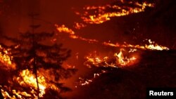 Kebakaran hutan "Caldor Fire" yang melanda kawasan hutan nasional "Eldorado" dekat kota Kyburz, California (21/8). 