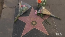 Fans Pay Tribute to Marvel Comics Legend Stan Lee