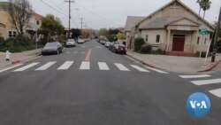 Forced to Stay Home, Neighbors Are Discovering Teddy Bears – and Each Other