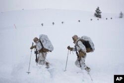 A group of U.S. Marines walk along a snow-covered trail during advanced cold-weather training at the Marine Corps Mountain Warfare Training Center Sunday, Feb. 10, 2019, in Bridgeport, Calif. (AP Photo/Jae C. Hong)
