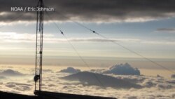 Marchers to Protest Trump's Climate Policies