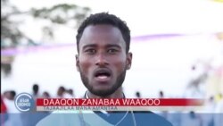 Ayyaana Kataraa Bifa Addaan Baatuu, Haroo Dambal Irratti Kabajamu