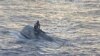 Perahu Terbalik Ditemukan di Dekat Florida; 39 Orang Hilang