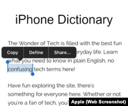 iPhone Dictionary