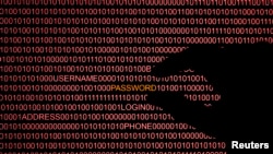 컴퓨터 해킹을 표현한 일러스트레이션 (자료사진)