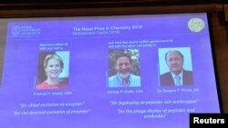 Pictures of the 2018 Nobel Prize laureates for chemistry: Frances H. Arnold of the United States, George P. Smith of the United States and Gregory P. Winter of Britain are displayed on a screen during the announcement at the Royal Swedish Academy of Scien