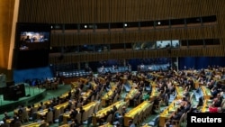 Sednica generalne skupštine Ujedinjenih nacija (Foto: REUTERS/Eduardo Munoz)