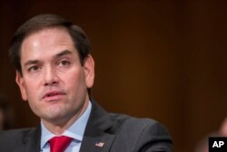 마르코 루비오 미국 공화당 상원의원.