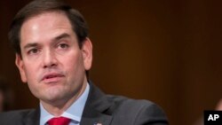 마크로 루비오 미국 공화당 상원의원.